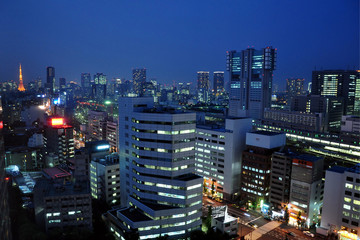 Fototapeta na wymiar Tokyo by night at Shinagawa