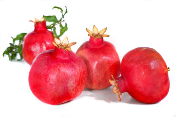 four pomegranate