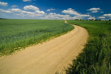 Way between the fields