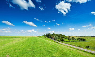 Naklejka premium Summer background