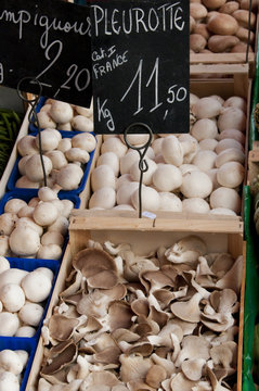 Champignons (pologne) et Pleurote (france) sur le march&eacute; de Hesd