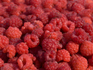 raspberry fruit