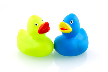 Two colorful rubber ducks