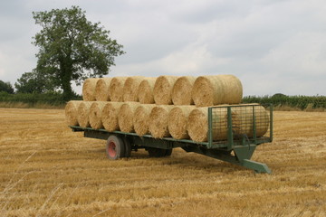 Hay on trailer