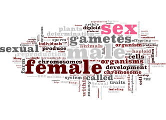 Sexuality - Tags Cloud