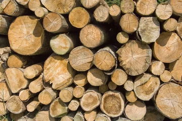 Möbelaufkleber Holzstapel © Klaus Kaulitzki