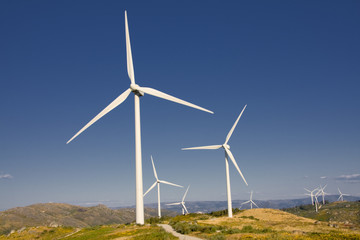 white wind turbines in the top of the mountain