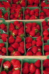 Barquettes de fraises (espagne) sur le marché de Hesdin