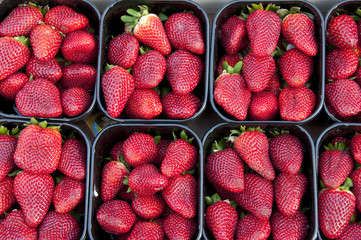 Barquettes de fraises (espagne) sur le marché de Hesdin