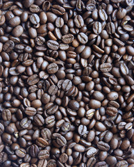 Coffee beans on white background