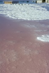 Salt production from dried sea saltwater