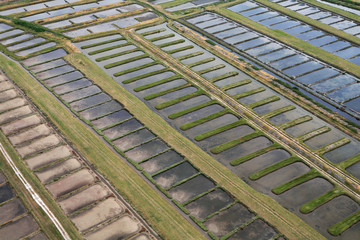 Marais salants