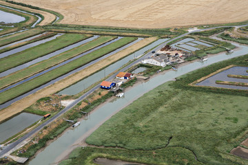 Chenal de Brouage - Charente Maritime (17)