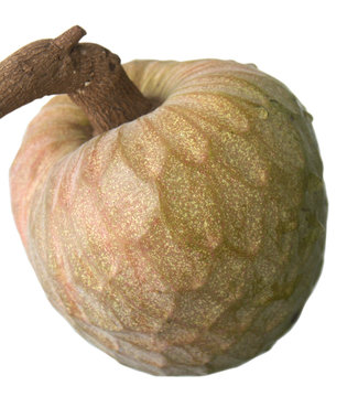 cachiman coeur de boeuf sur fond blanc