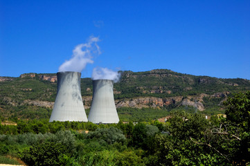 Nuclear plant