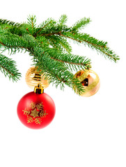 christmas ball hanging on a fur tree