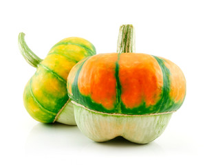 Ripe Gourds Vegetable Hybrid Isolated on White