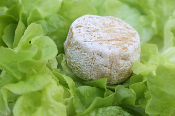 crottin de Chavignol sur lit de salades