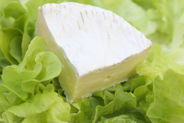 une portion de Camembert sur un lit de salades