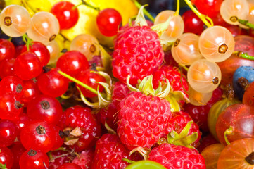 fresh fruits and berry. isolated on  white background