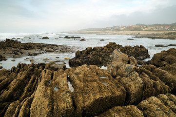 rocky beach