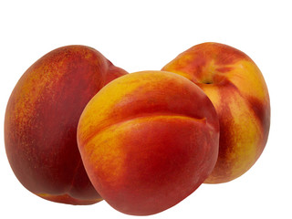 Fruit a peach and apricot hybrid