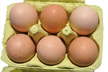 Eier