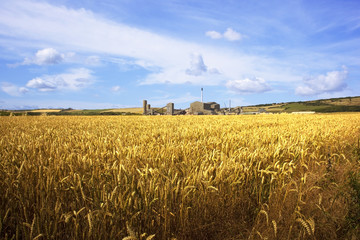 a potash mine with wheat fields