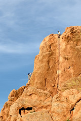 Fototapeta premium Rock climber climbing a cliff