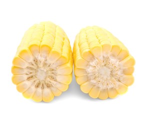 cob,grain maize