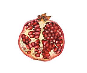 pomegranate section isolated on white background