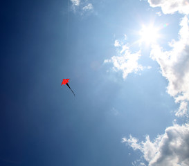 kite in sky