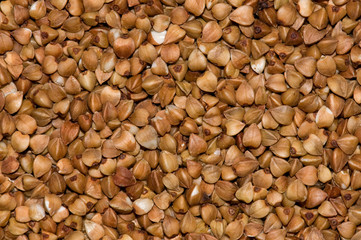 Buckwheat background