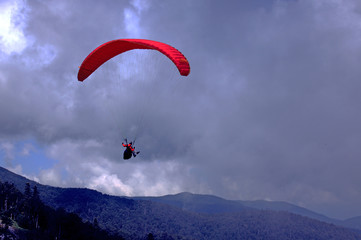 paraglider