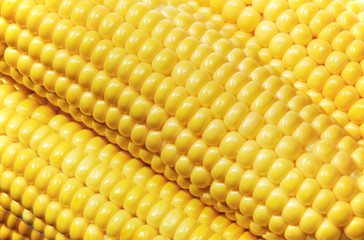 close-up of maize