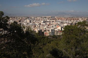 Fototapeta premium Alicante