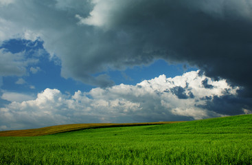Fototapeta na wymiar Piękne Chmury nad zielone pola