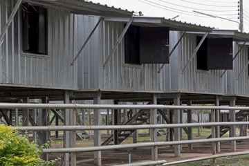 Notunterkunft in Bang Muang