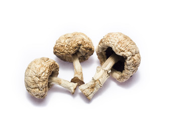 mushrooms