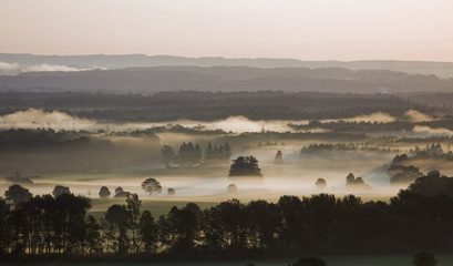 nebel am morgen