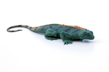 Rubber Lizard Isolated