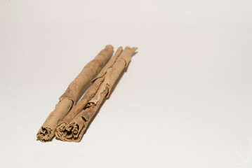 Cannella 7