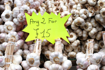 Garlic for sale
