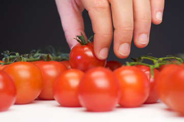 Schönste Tomate