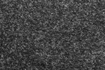Texture of a carpet covering