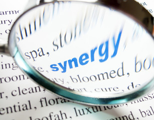 mot synergy à la loupe