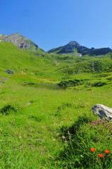 Fototapeta premium Mountain alp with tarn and stable building