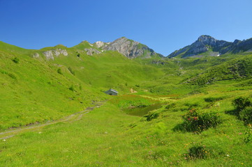 Mountain alp with tarn and stable building