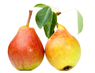 Two Pears with leaves isolated on white background