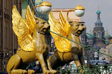 les griffons à Saint petersbourg
